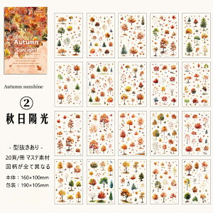 o ^ V[ubN e }XLOe[vf XebJ[ubN _CJbg V[V[g CO R[Wf [Y ԕ Ԃт A    ђn  X X lG R