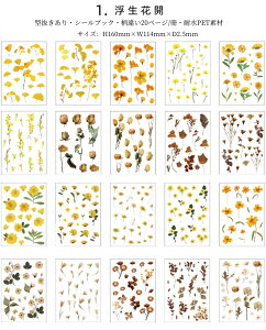 o V[ubN ^ e _CJbg XebJ[ubN 20/ R[Wf [Y o KN Ԃт  hCt[ Ȃ̉ ^ ȉ x_[ CXgV[ 