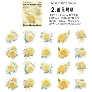 o NAV[ PETV[ ϐV[ ʃ^b` KN Ԃт V[ ԕ WX~ [Y ݂ R[Wf  20 V[ V[ fR[V 蒠V