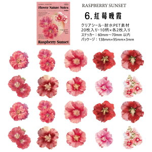 o NAV[ PETV[ ϐV[ ʃ^b` KN Ԃт V[ ԕ WX~ [Y ݂ R[Wf  20 V[ V[ fR[V 蒠V