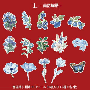 o  NAV[ 30 }bgȎ KN [Y ԕ NAV[ PET ϐ V[ R[Wf  [Y t t[ CXgV[ COXebJ[ hV