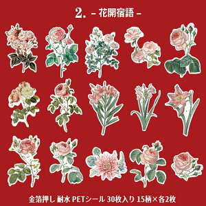 o  NAV[ 30 }bgȎ KN [Y ԕ NAV[ PET ϐ V[ R[Wf  [Y t t[ CXgV[ COXebJ[ hV