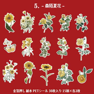 o  NAV[ 30 }bgȎ KN [Y ԕ NAV[ PET ϐ V[ R[Wf  [Y t t[ CXgV[ COXebJ[ hV