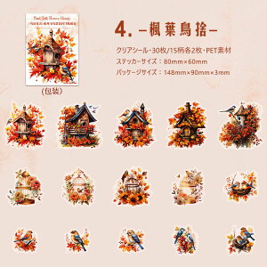 o NAV[   ԕ    z CXgV[ Mђ IjIInV n`h PET ϐ V[ R[Wf  30 V[ N₩ XNbvu