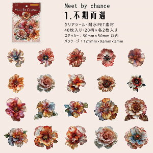 o NAV[ 40 Ԃт ԕ PETV[ ϐV[   Ԃт CXgV[ R[Wf [Y KN  V[ V[ ԕ XebJ[ fR[