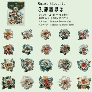 o NAV[ 40 Ԃт ԕ PETV[ ϐV[   Ԃт CXgV[ R[Wf [Y KN  V[ V[ ԕ XebJ[ fR[