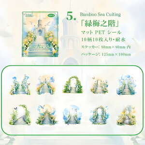 o NAV[ }bgȎ ͂ CXgV[  ԕ KN q Ki Βi  z  ` K[fjO R[Wf  傫 10 R[W f PETV