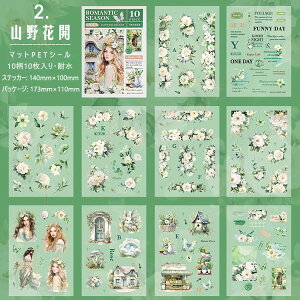 o ^ ϐ PET 10V[g l ̎q z  KN [Y ԕ p  f      CXg _CJbg XebJ[ R[Wf  t[ g w