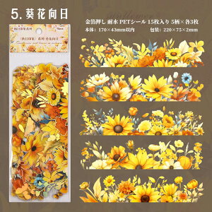 o  傫 c ϐ PETV[ t gt A CXgXebJ[ R[Wf   wiV[ R[Wf  [WTCY AeB[N Be