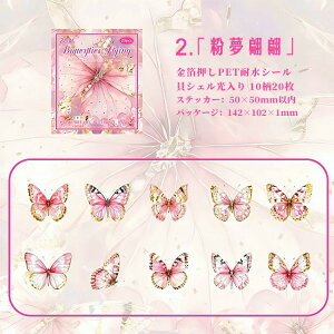 o NAV[   LVF  o^tC CXgV[ 20 PET ϐV[ R[Wf  V[ fR[V XNbvubLO R