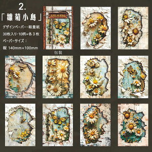 o COfUCy[p[ zI ̊ Be[W y[p[ R[Wf y[p[ wi fގ   AeB[N R[Wf [Y g F _ ԕ Cm