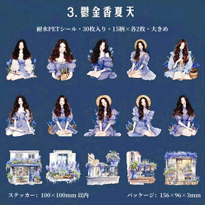 o lV[ NAV[ 傫  ̎q K[fjO 30 R[Wf  l V[ PET ϐ V[ CXgXebJ[ R[W f  V[ XebJ[