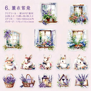 o NAV[ 傫 30 킢 L e  ԕ  CXg ϐV[ ˂ lR ETM  [Y KN AWTC z CXgV[ R[Wf 킢 fR