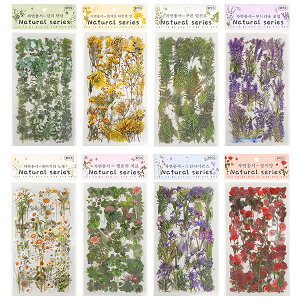 o Ⴂ24V[g Zbg ^ Jbg lt N[o[ KN Ԃт ԕ ϐV[V[g PETV[ e R[Wf V[ CXg NAV[  