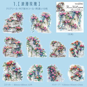 o NAV[ Ε Ί_ 炭  z KN  ԕ [Y K[fjO ϗtA 鐫A   CXg V[ R[Wf  ϐV[ PETV[ 킢