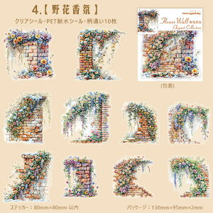 o NAV[ Ε Ί_ 炭  z KN  ԕ [Y K[fjO ϗtA 鐫A   CXg V[ R[Wf  ϐV[ PETV[ 킢