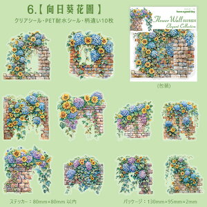 o NAV[ Ε Ί_ 炭  z KN  ԕ [Y K[fjO ϗtA 鐫A   CXg V[ R[Wf  ϐV[ PETV[ 킢