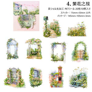 o NAV[ LVFH 傫 A ԕ  Ri R K[fjO   V[ PETV[ R[Wf   CXgV[ ϐV[ hV