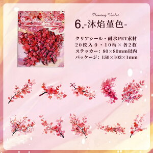  NAV[ 傫 ̎} }  } ؎} }  } } t ̎} }t CXg V[ ϐV[ R[Wf  20 PET  V[ hV[ fR