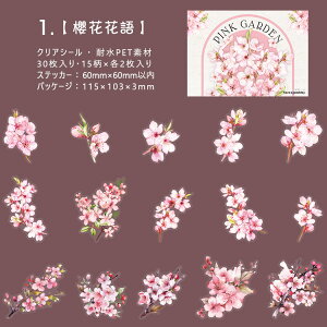 o sNn NAV[ ̎} } [Y KN O {^ `[bv  }  ԕ Ԃт CXgV[ 30 ϐ PET V[ R[Wf  킢 t 