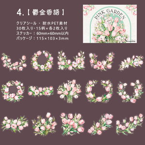 o sNn NAV[ ̎} } [Y KN O {^ `[bv  }  ԕ Ԃт CXgV[ 30 ϐ PET V[ R[Wf  킢 t 