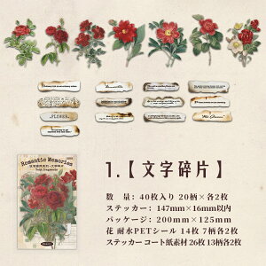 o NAV[ 傫 [WTCY KN [Y   z ԕ  p  `Pbg ؕ ^O _[W CXgV[ 40 ّf R[Wf  PETV[ 