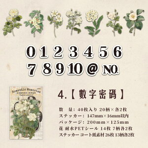 o NAV[ 傫 [WTCY KN [Y   z ԕ  p  `Pbg ؕ ^O _[W CXgV[ 40 ّf R[Wf  PETV[ 