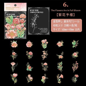 o  ϐ NAV[ 40 ԕ Ԃт t CXgV[ V[ R[Wf l 蒠 킢 PET ϐV[ V[ COV[ R[W f f