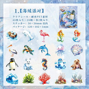 o 킢  Cm ϐV[ 40 e L  F r  F  lP u^  nX^[ CXgV[ R[Wf 킢 ETM ]E   tNE 