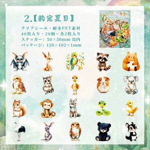 o 킢  Cm ϐV[ 40 e L  F r  F  lP u^  nX^[ CXgV[ R[Wf 킢 ETM ]E   tNE 