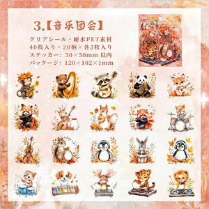 o 킢  Cm ϐV[ 40 e L  F r  F  lP u^  nX^[ CXgV[ R[Wf 킢 ETM ]E   tNE 