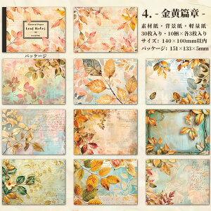 o ̊ fUCy[p[ fގ wi CO   m  t pbh R[Wf 30 Be[W fރy[p[ g AeB[N  WN