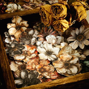 o ]Ȃ 100100 Ԃт ԕ V[  g AeB[N V[ R[Wf  [Y KN Be[W 蒠V[ fR[V Ȃ V[ CO