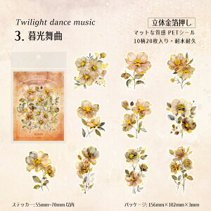 o NAV[   ʃ^b` }bgȎ ԂтV[ 20 R[Wf l  Ԃт ԕ PETV[ ϐV[ V[ V[ fR[V