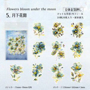 o NAV[   ʃ^b` }bgȎ ԂтV[ 20 R[Wf l  Ԃт ԕ PETV[ ϐV[ V[ V[ fR[V