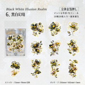 o NAV[   ʃ^b` }bgȎ ԂтV[ 20 R[Wf l  Ԃт ԕ PETV[ ϐV[ V[ V[ fR[V