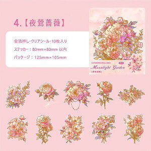 o  傫 ؂₩ Ԃт PET ϐ V[ R[Wf [Y KN z AWTC [WTCY NAV[ 蒠 V[ ԕ CXgV[ WNW[i 