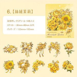 o  傫 ؂₩ Ԃт PET ϐ V[ R[Wf [Y KN z AWTC [WTCY NAV[ 蒠 V[ ԕ CXgV[ WNW[i 