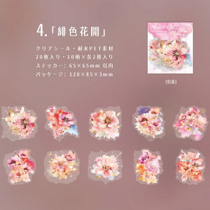 o NAV[ Ԃт ԕ ؂₩ 傫 [WTCY R[Wf [Y KN  O V[ ̊ 20 PETV[ ϐV[ V[ COXebJ[킢R