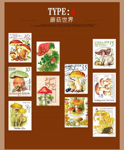 o CO ؎ }XLOe[v X^v V[ ؎V[ }Xe 蒠fR 蒠 fR[V AW ACe R[W f WNW[i Be[W re[W 