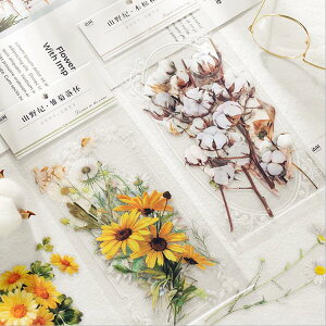 o V[ 傫 t[NV[ R[Wf fR[V COXebJ[ WNW[i [Y ^̉ r r NA PETf A  t[ t gt t