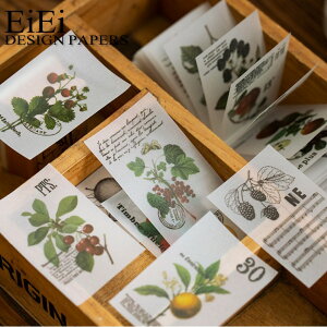 o 100  gy fރy[p[ fUCy[p[ _ Be[Wy[p[ fގ ubN G80{n20 R[W f wi AeB[N g gy f m