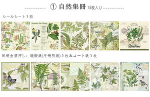 o  g V[V[g fUCy[p[ 傫 _ 3ގ COV[ R[Wf W[i Be[W AeB[N 蒠fR fގ fރy[p[ A