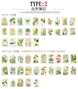 o CO AeB[N^O re[W^O g 50 fUC SĈقȂ 2ލގ f fR[V R[W WNW[i AeB[N Be[W CXg