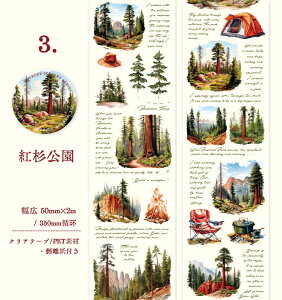 o NAe[v Ch^Cv AEghA   ϐ L50mm Ri oR  ̕i p CXg R[Wf V[ R sNjbN  z[   X G 