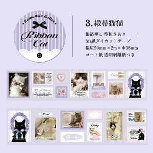 o ^  Ins _CJbg e[v L50mm CO }XLOe[v CX^ R[g [ e R[Wf  ┓ ̎q lV[ p L ˂ p