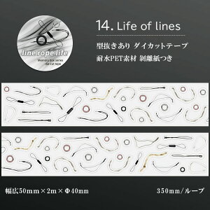 o ^ L30mm L50mm NAe[v _CJbg  [ CXg V[ e R[W f V[ PET ϐ 킢 [ G  Nbv ߐj e s 