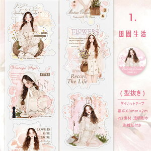 即日出荷 型抜き クリアテープ 幅広60mm ぼかし 背景 シール 女の子 犬 猫 いぬ ネコ 人物 動物 女子 マット ワンちゃん 英語 レース クリア マスキングテープ 耐水 人物シール コラージュ素材