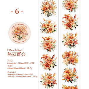 o ^ NAe[v L50mm  _CJbge[v Ch^Cv R[Wf [Y KN Ԃт ԕ }XLOe[v  e[v 蒠 fR[V R[W 