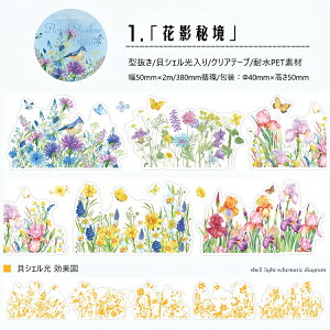 o ^ LVF _CJbge[v NAe[v L50mm  ̉  }   ݂艺 ϗtA 鐫A   CXgV[ R[Wf ԕ }XLO